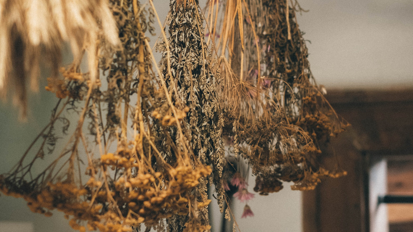 Herbal Medicine / Naturopathy Consultation
